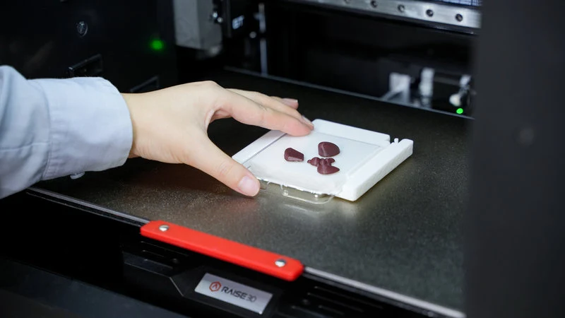 Raise3D E3 3D-Drucker mit IDEX-Extruder - Starter Kit