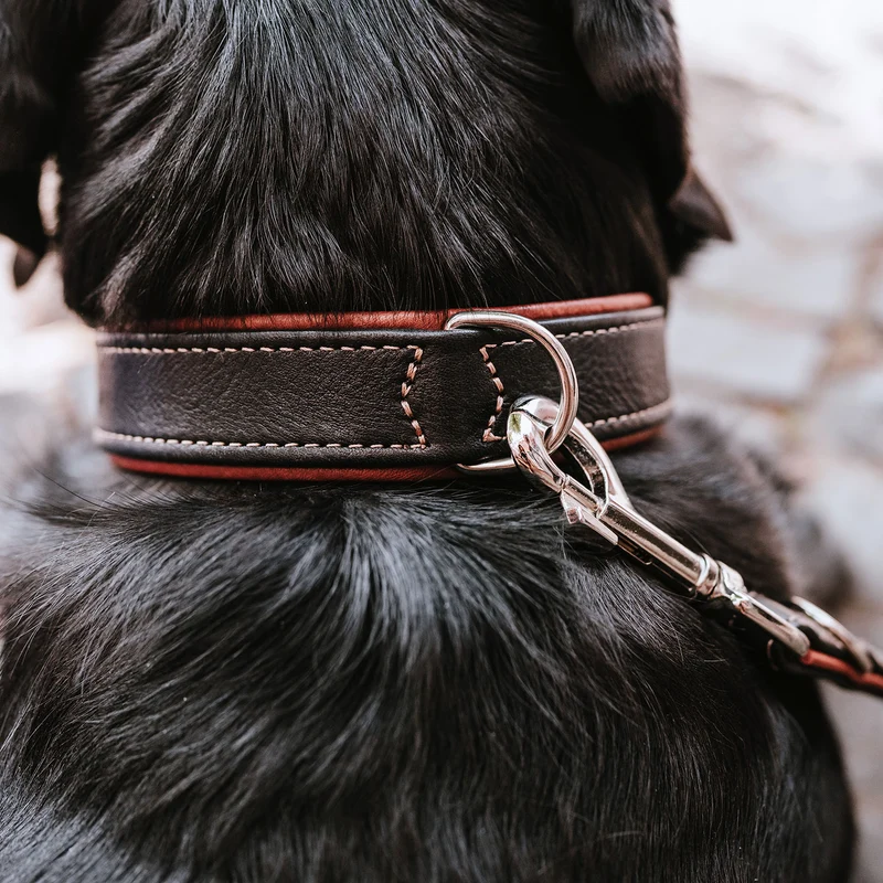 CANADIAN UP Set Halsband & Leine | schwarz/cognac