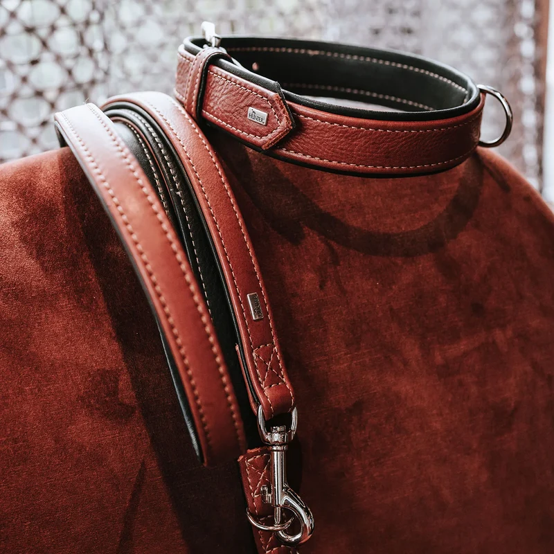 CANADIAN UP Set Halsband & Leine | cognac/schwarz