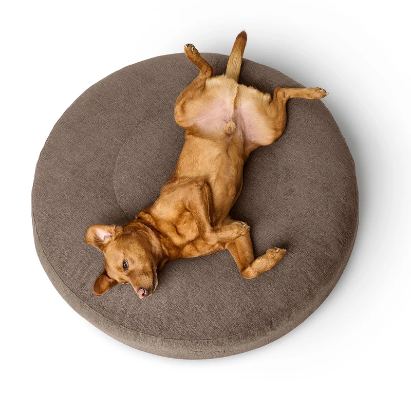 Ergonomisches Hundebett Bormio