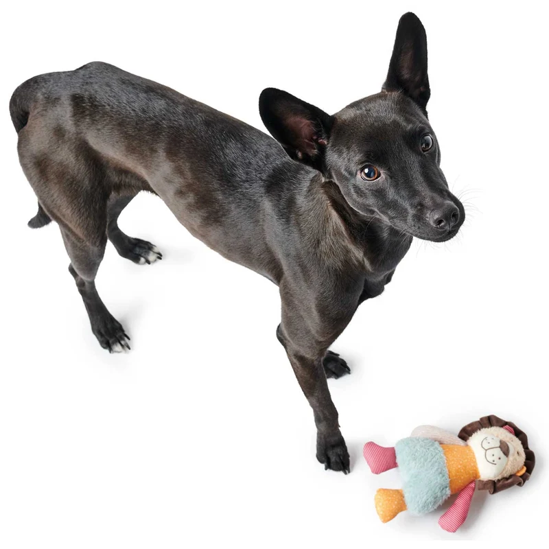 Hundespielzeug Muli