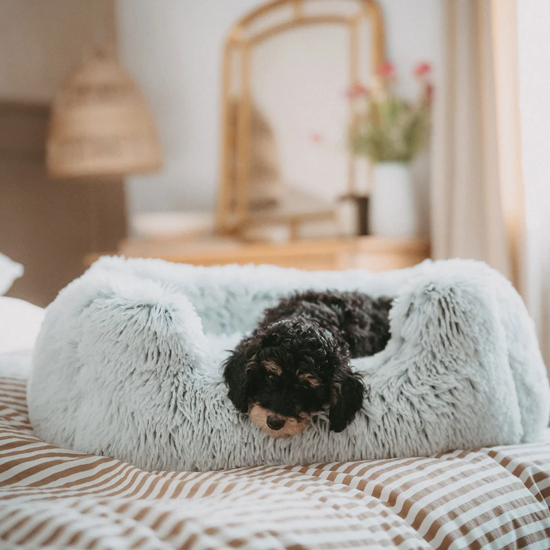 Hundesofa Loppa