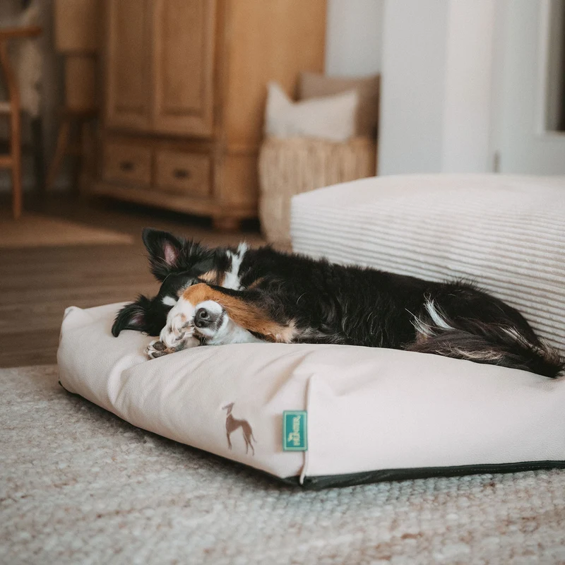 Orthopädisches/Ergonomisches Hundekissen Livo