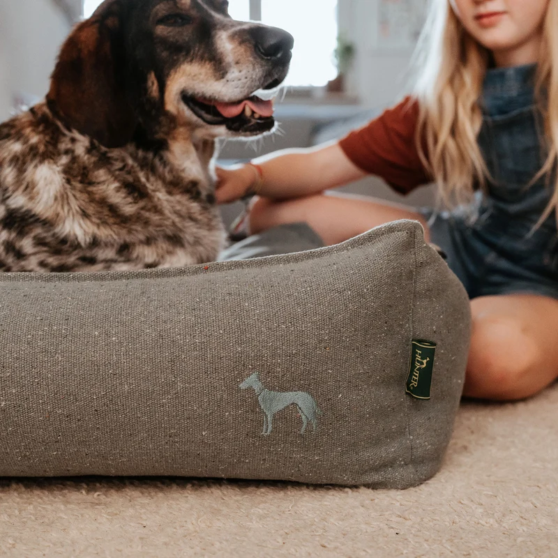 Recycling Hundesofa Belluno