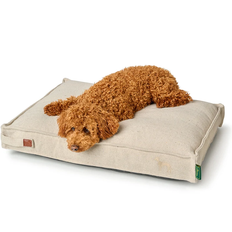 Recycling Hundekissen Belluno