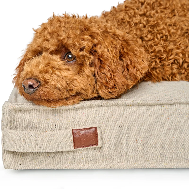 Recycling Hundekissen Belluno