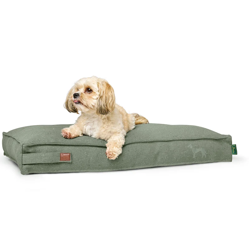 Recycling Hundekissen Belluno