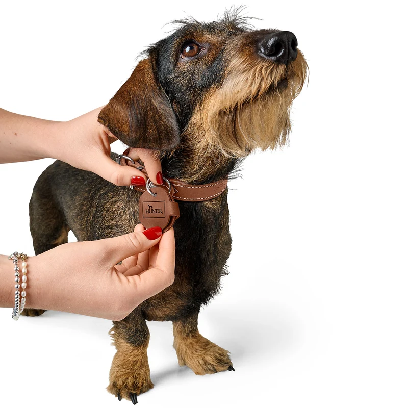 Anhänger Hundemarken-Etui Aalborg
