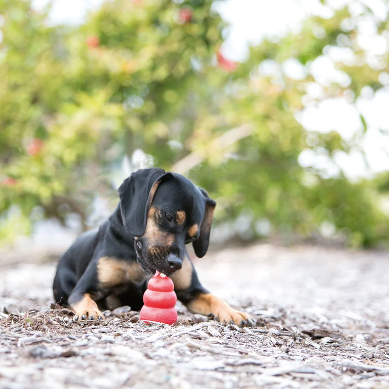 Hundespielzeug KONG® Classic