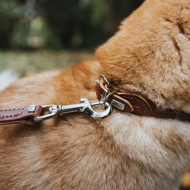 Halsband Round & Soft