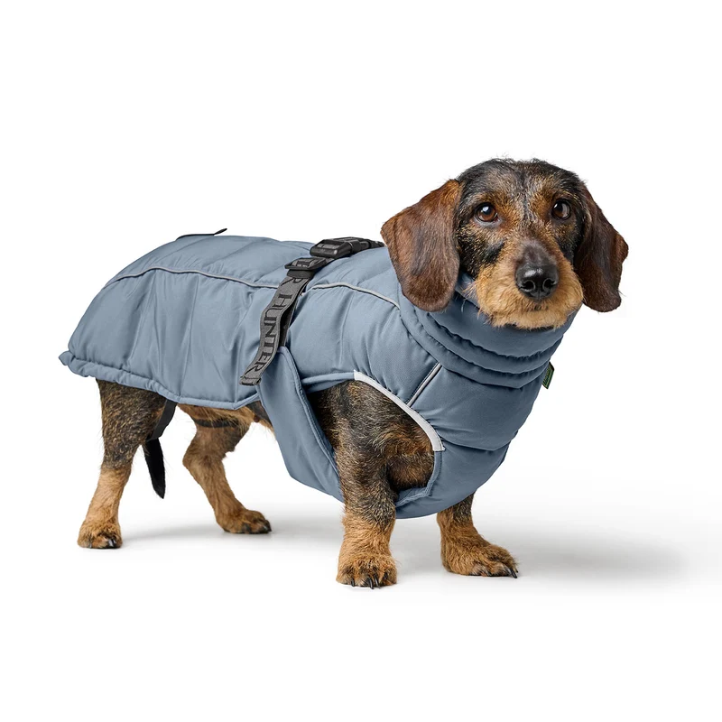 Hundemantel Paxson Dackel