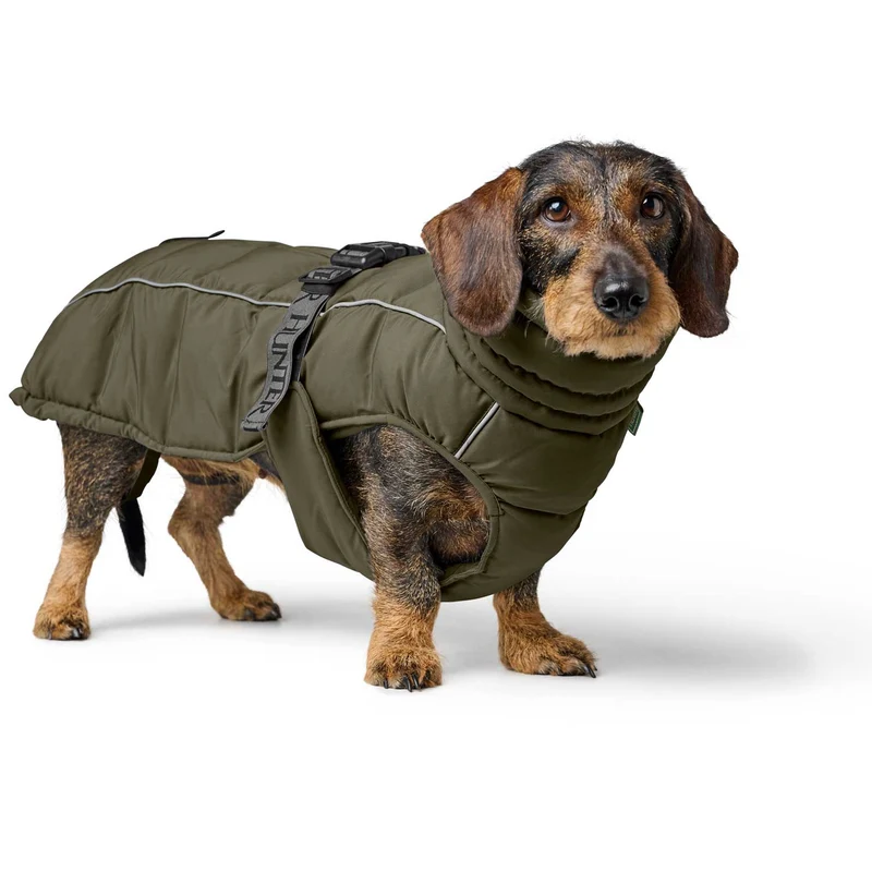 Hundemantel Paxson Dackel