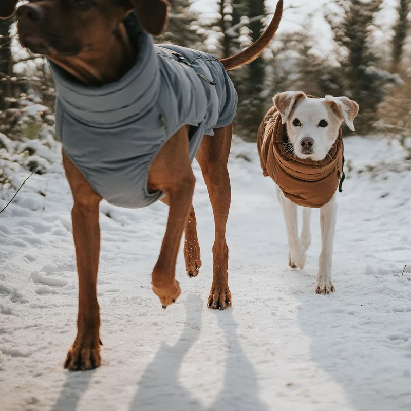 Hundemantel Paxson
