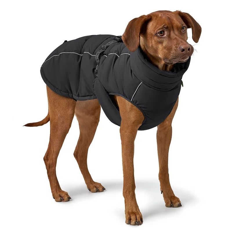 Hundemantel Paxson
