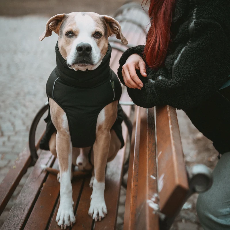 Hundemantel Paxson