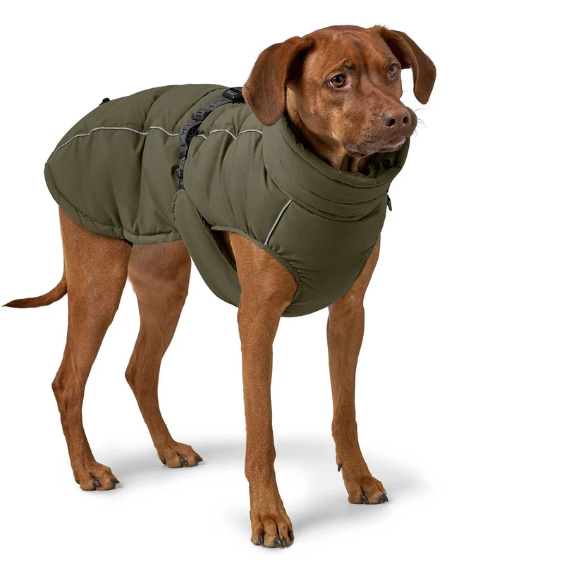 Hundemantel Paxson