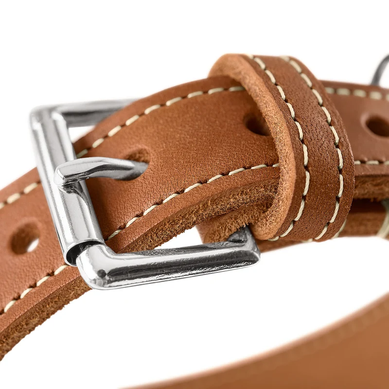 Windhundhalsband Aalborg