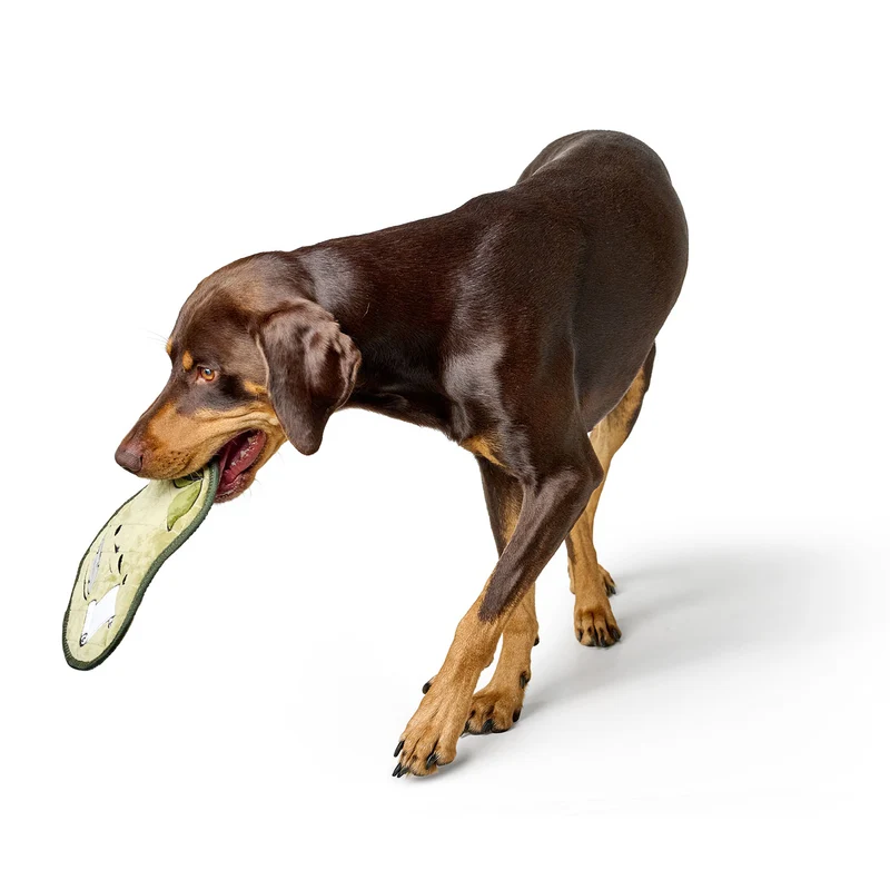 Hundespielzeug Koloa