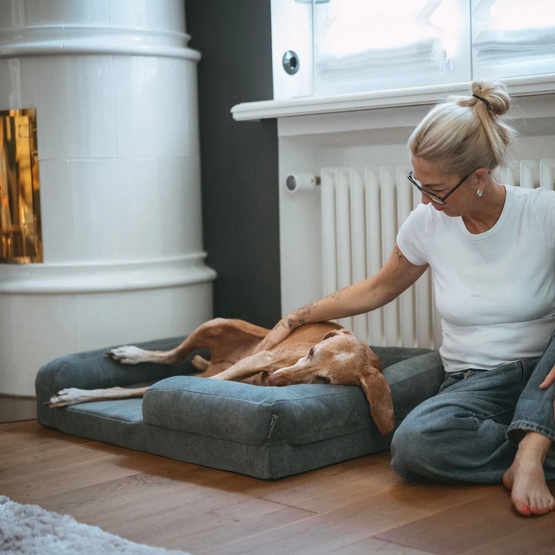 Orthopädisches/Ergonomisches Hundesofa Melun