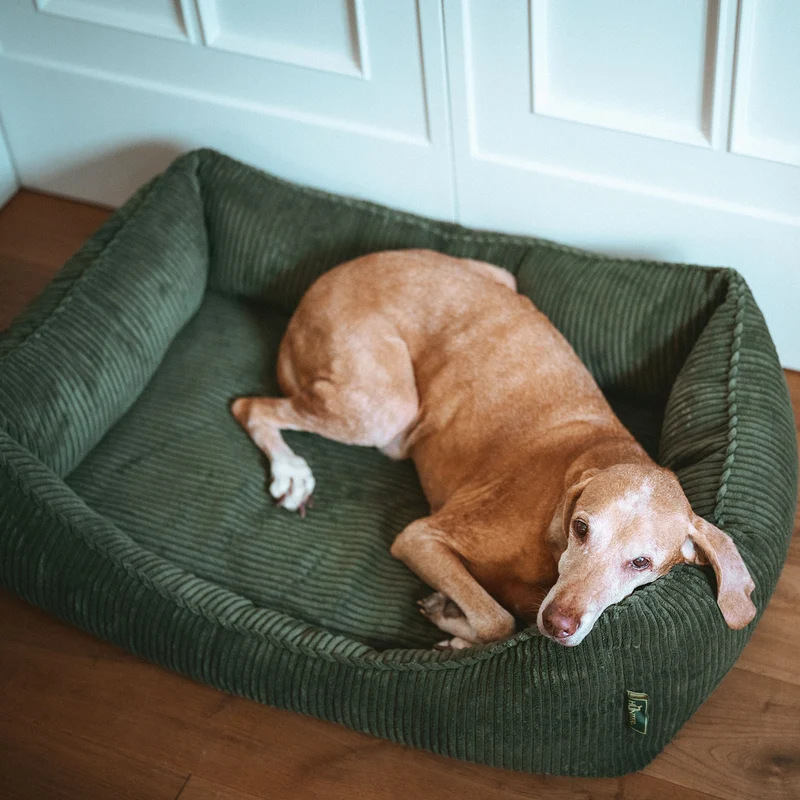 Orthopädisches/Ergonomisches Hundesofa Corbie