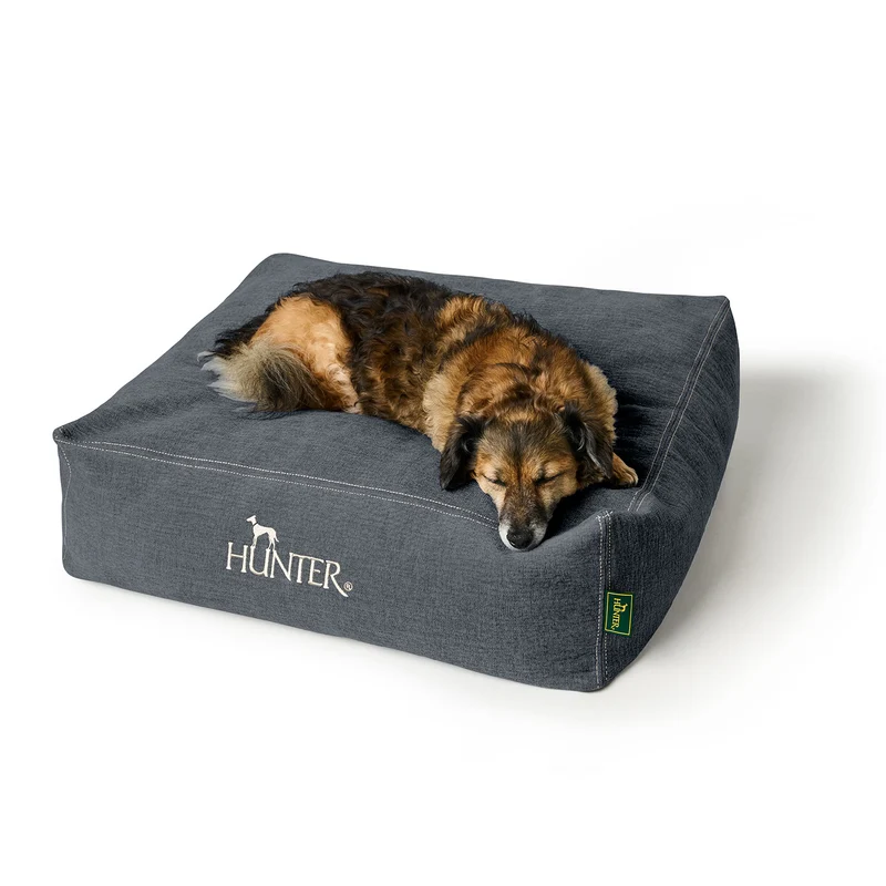 Orthopädisches/Ergonomisches Hundekissen Rotterdam