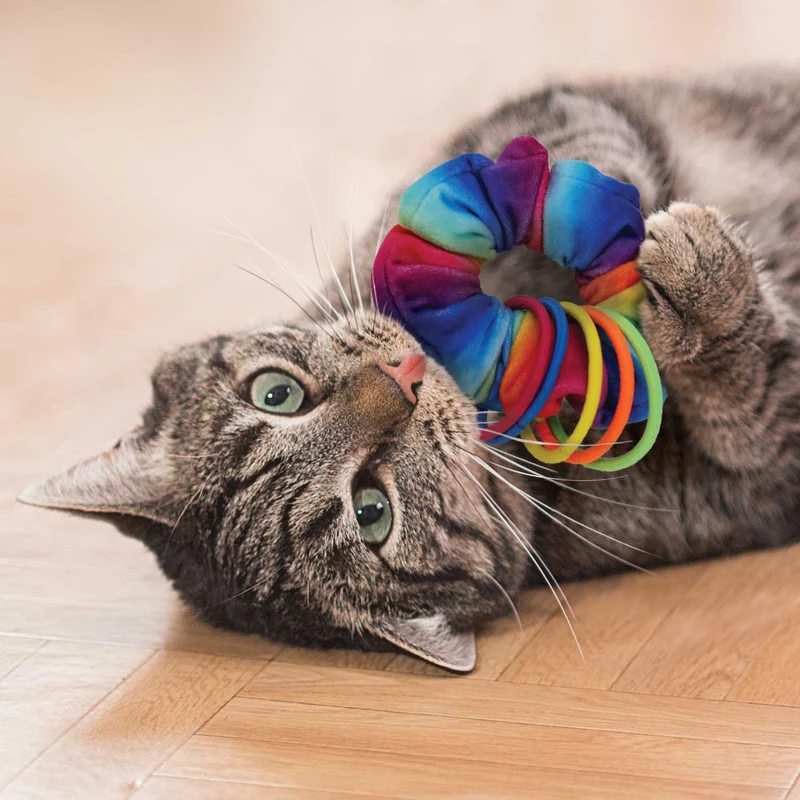 Katzenspielzeug KONG® Active Scrunchie