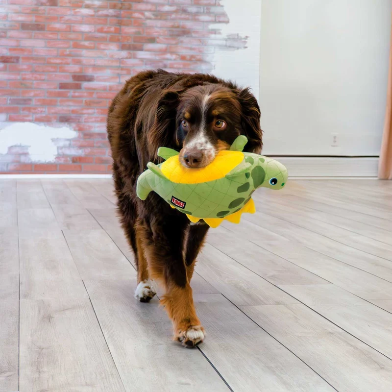 Hundespielzeug KONG® Dynos™ Roars
