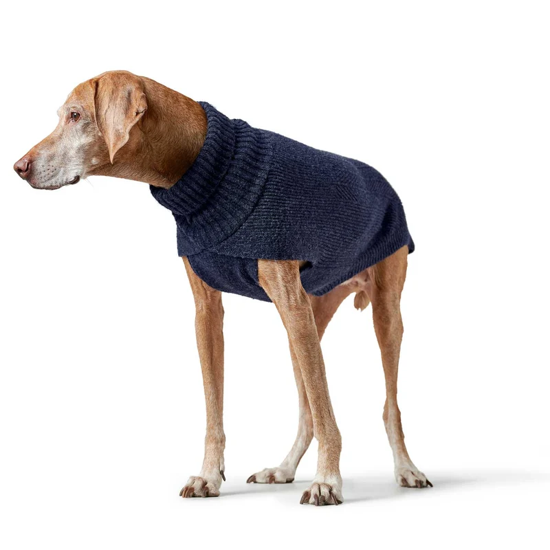 Hundepullover Genf