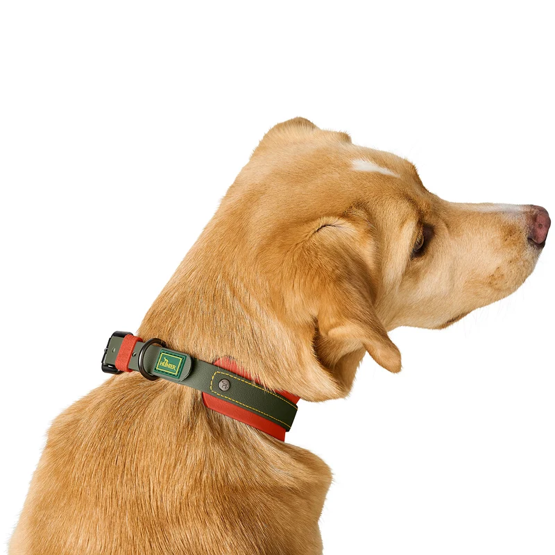 Halsband Havanna