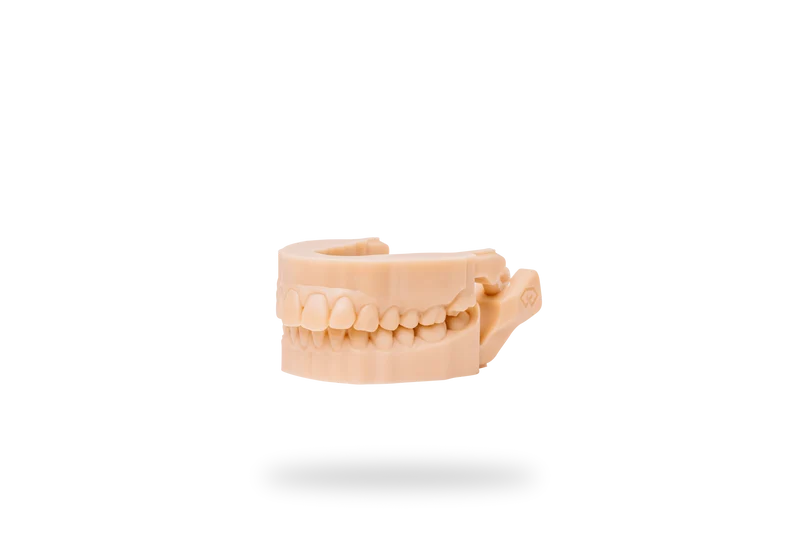 Detax Freeprint Model Pro