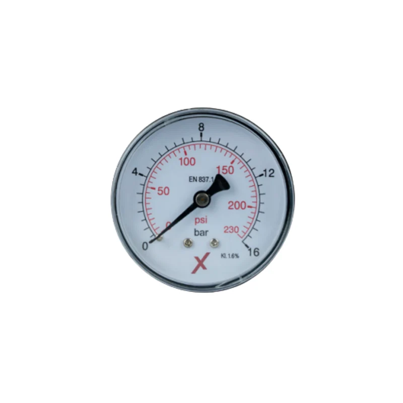Manometer 0–16 bar mit 1/4"-Anschluss hinten, Ø 63 mm, für Putzmaschinen