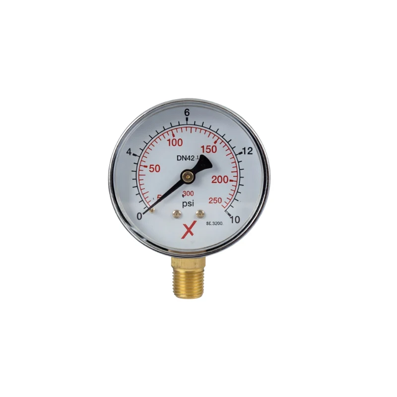 Manometer 0–16 bar mit 1/4"-Anschluss unten, Ø 63 mm, für Putzmaschinen