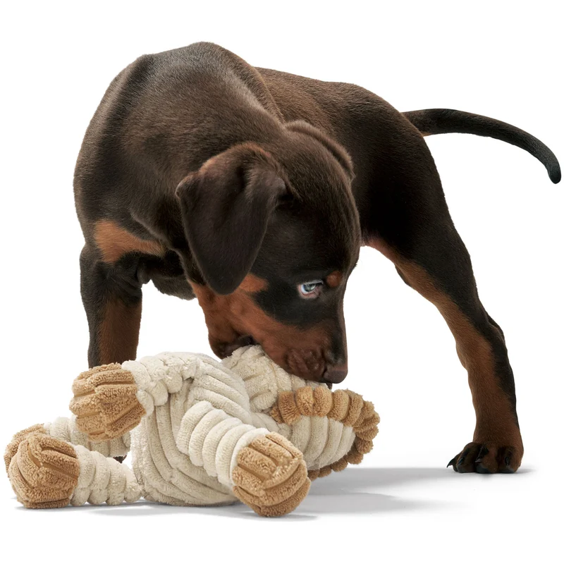 Hundespielzeug Huggly