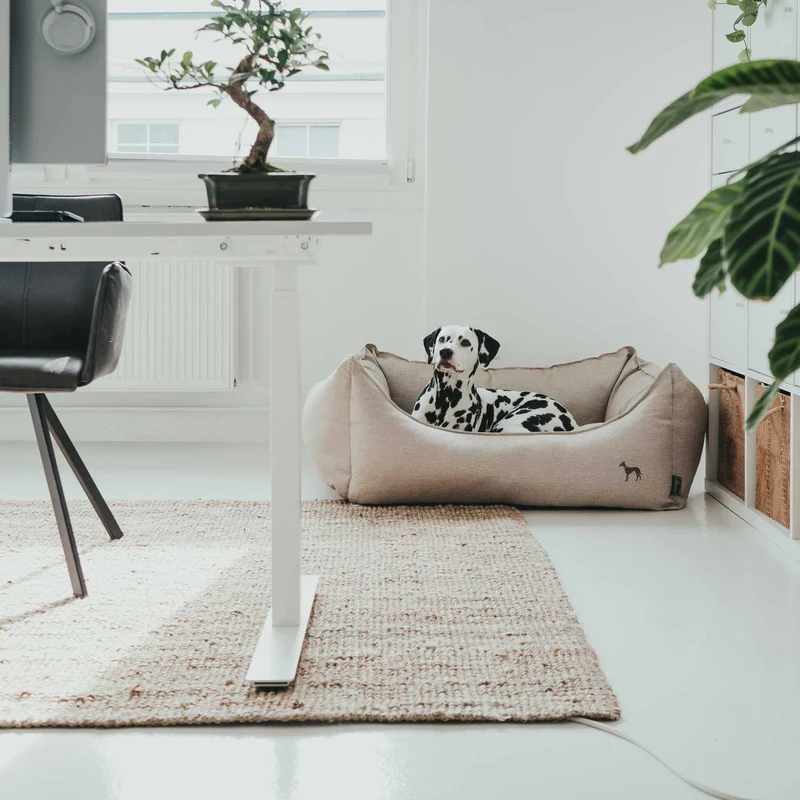 Hundesofa Livingston