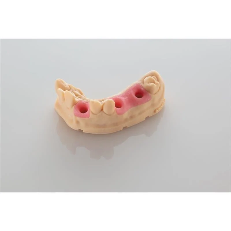 BASF Ultracur3D DM2304 Gingiva Mask Dental Resin