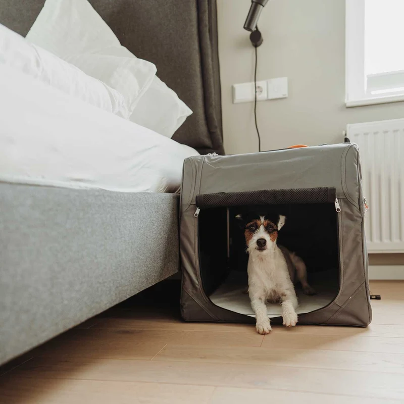 Faltbare Hundebox mit Aluminium-Gestell