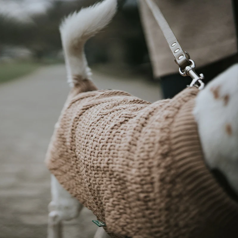 Hundepullover Malmö