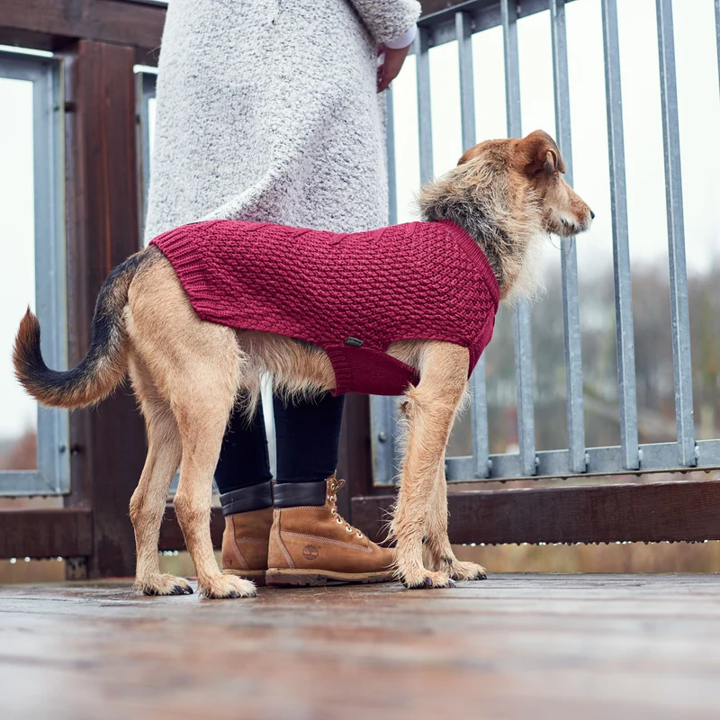 Hundepullover Malmö