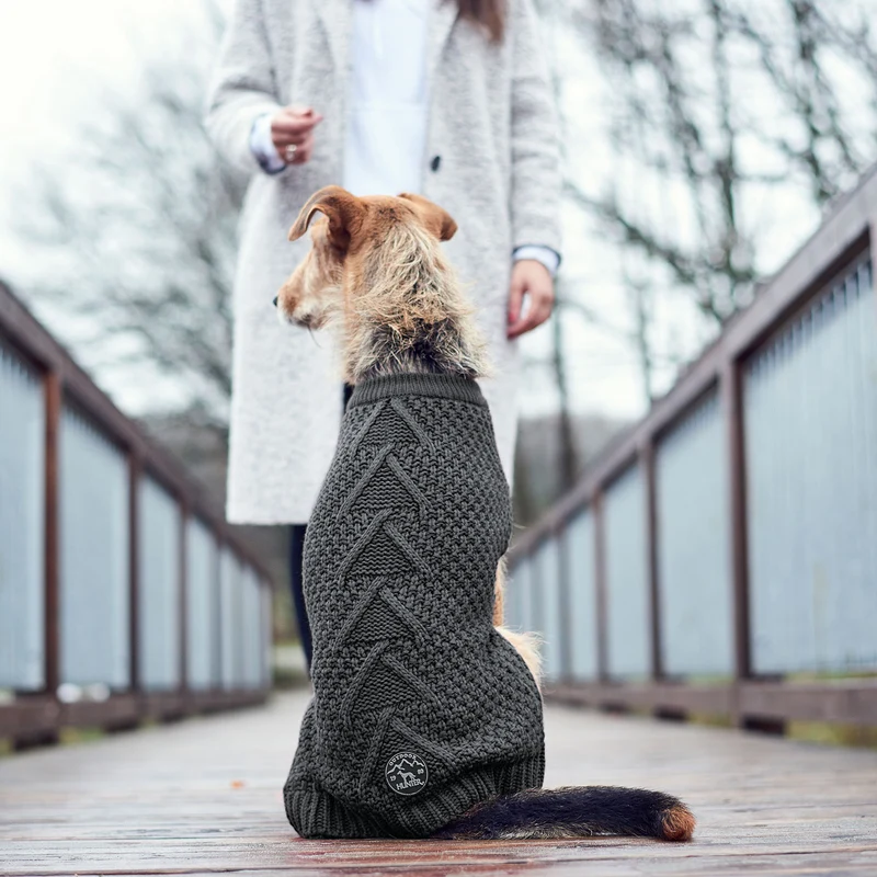Hundepullover Malmö