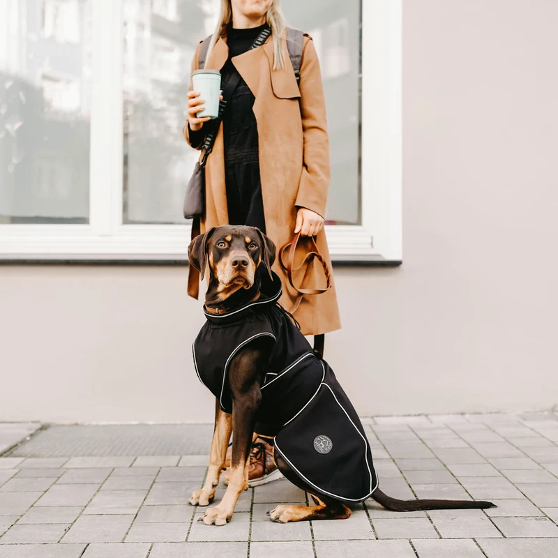 Hundemantel Uppsala Softshell