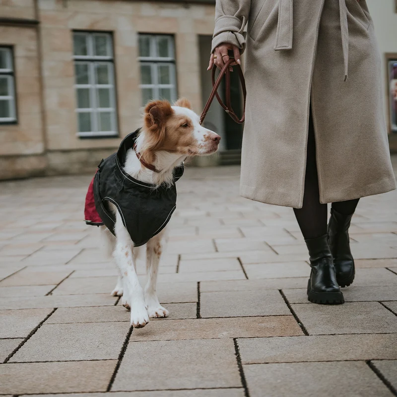Hundemantel Uppsala Cozy