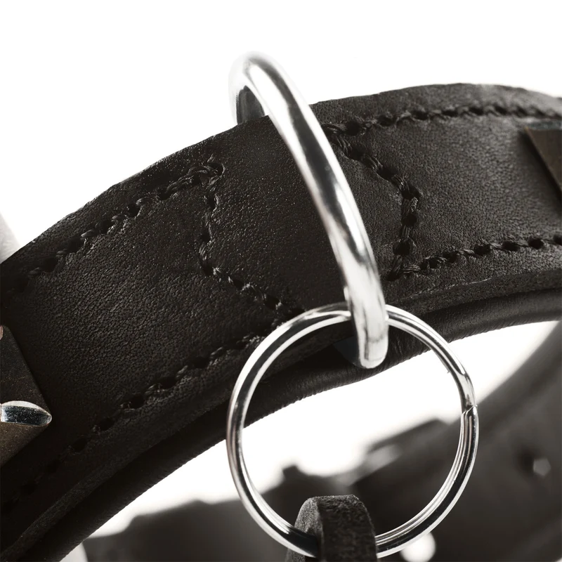 Halsband Larvik