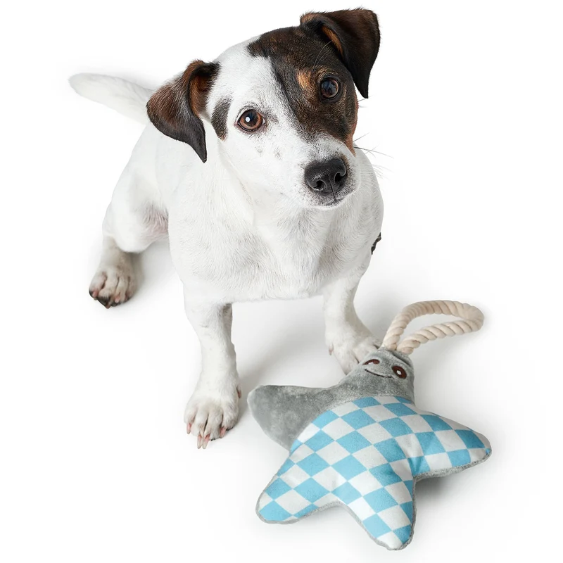 Hundespielzeug Salima