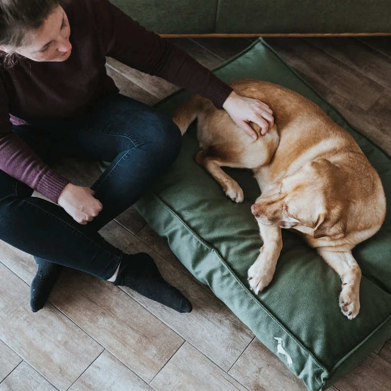 Orthopädisches/Ergonomisches Hundekissen Merida