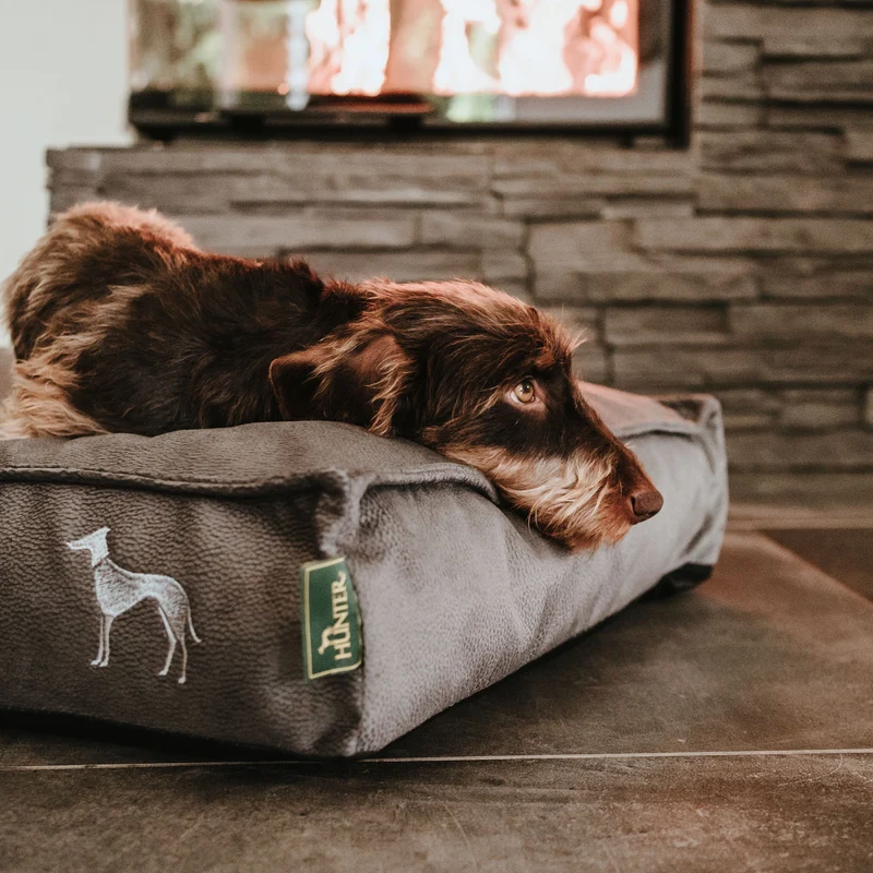 Orthopädisches/Ergonomisches Hundekissen Merida