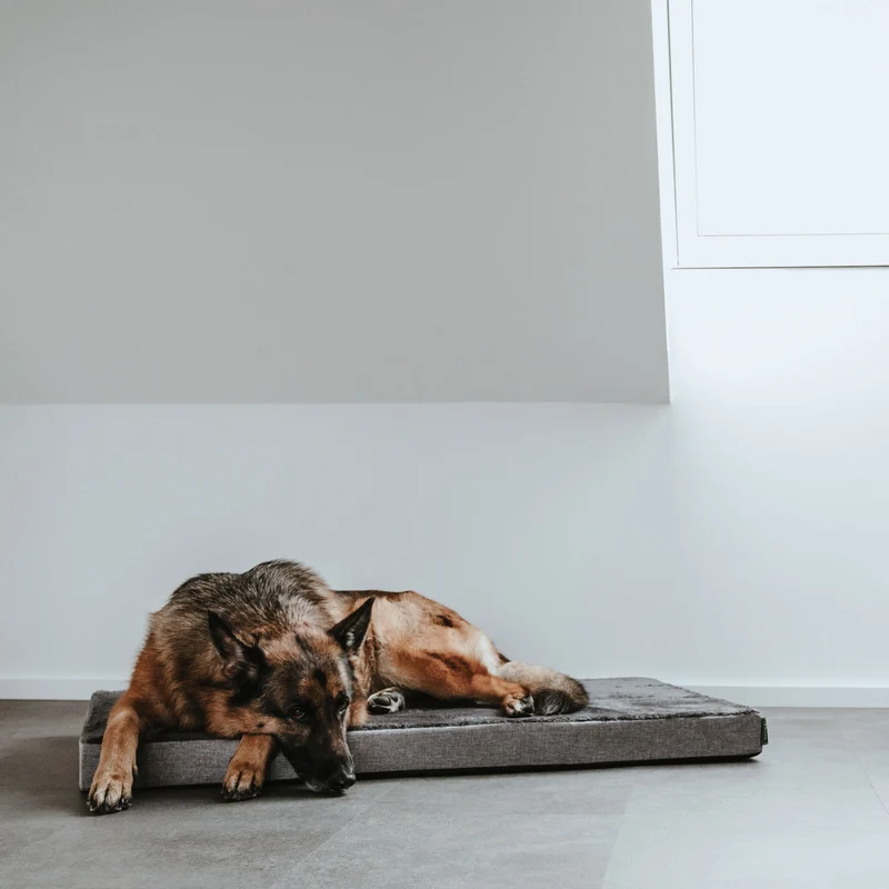 Orthopädische/Ergonomische Hundematte Tirano