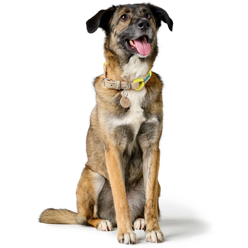 Halsband Malia