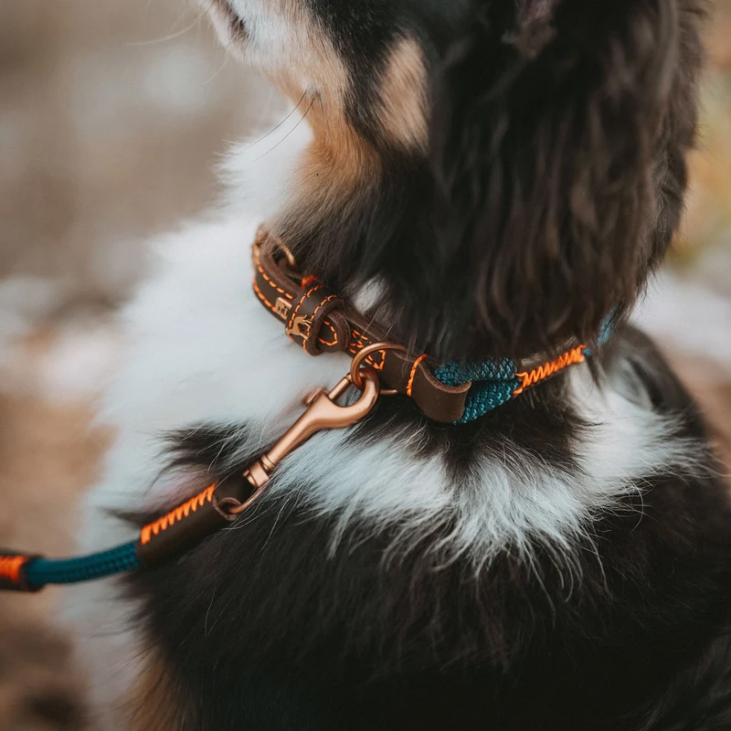 Halsband Malia