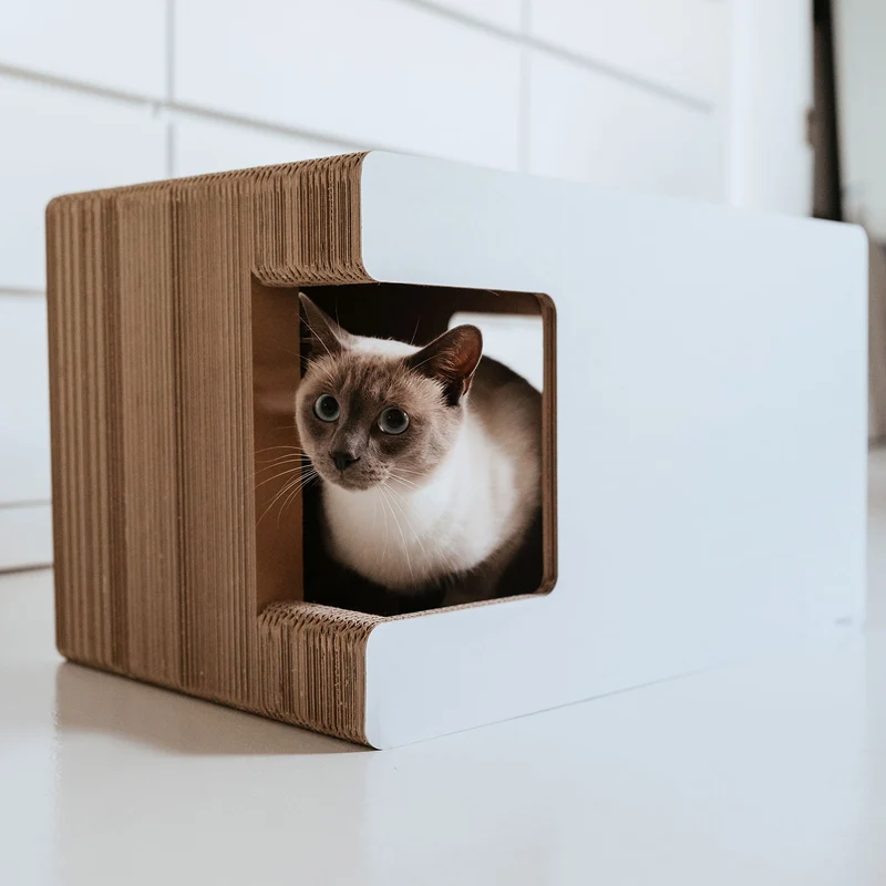 Kratzmöbel Cavy