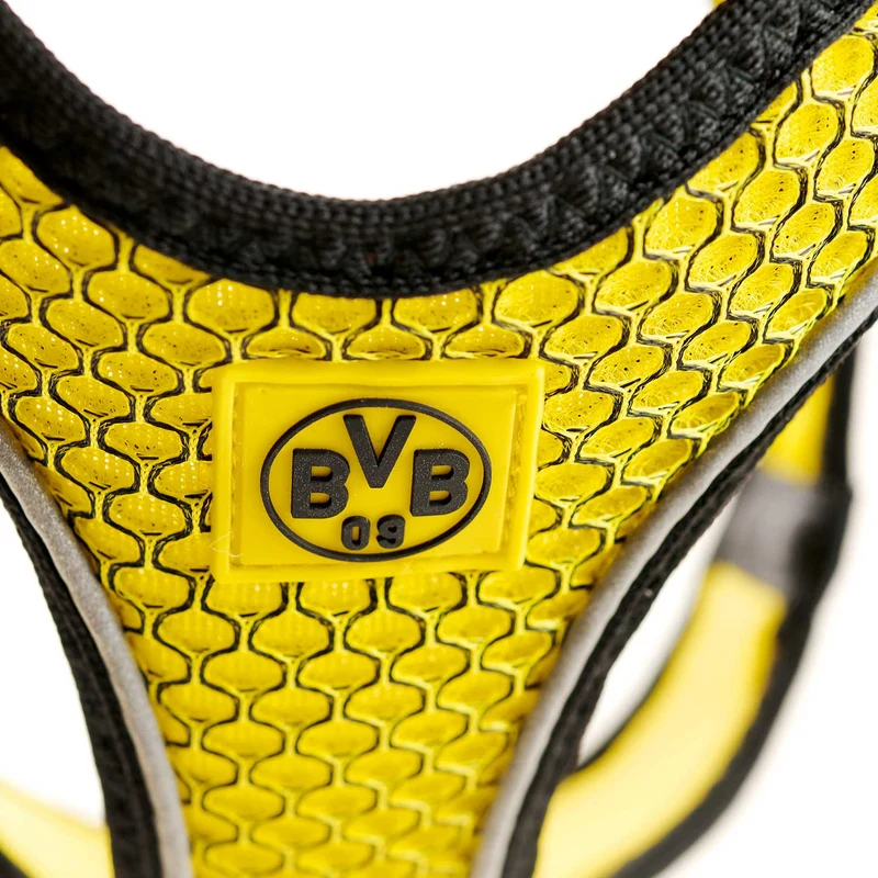 Geschirr Hilo Comfort BVB